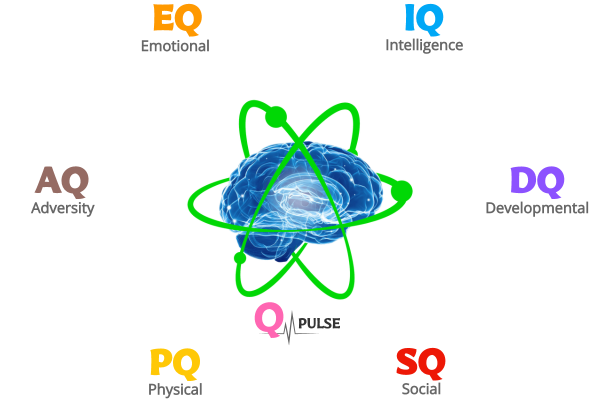 Q Pulse