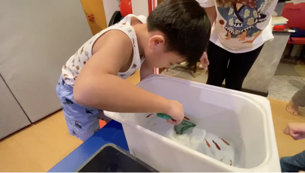 A Splash of Science: ONE’s Goldfish Adventure