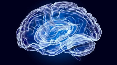The brains of people with ADHD and autism are differently structured than those without