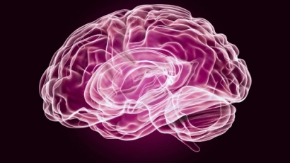 A scientific picture of a brain. A sign of dyslexia could be difficulty recalling people, places or dates due to poor working memory in the brain.