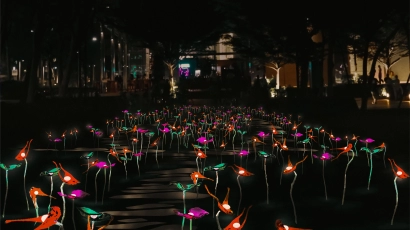 Image of a field of plastic flowers lit up on a boardwalk. This is a fun activity that you can take your kids on for the June Holidays.
